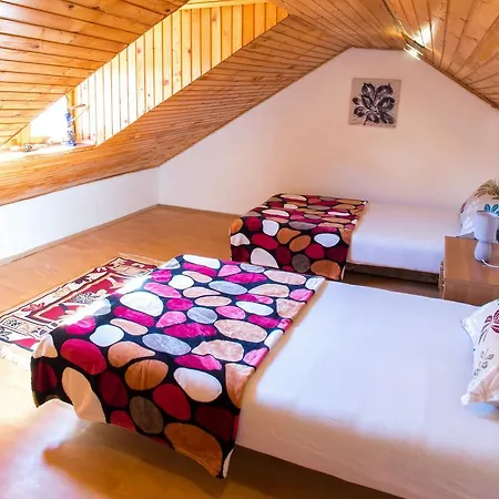 Apartament Tiger Lily *