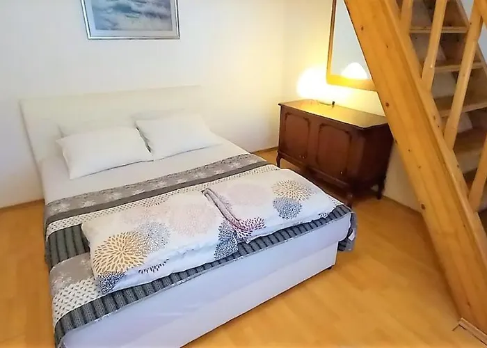 Tiger Lily 莫斯塔尔